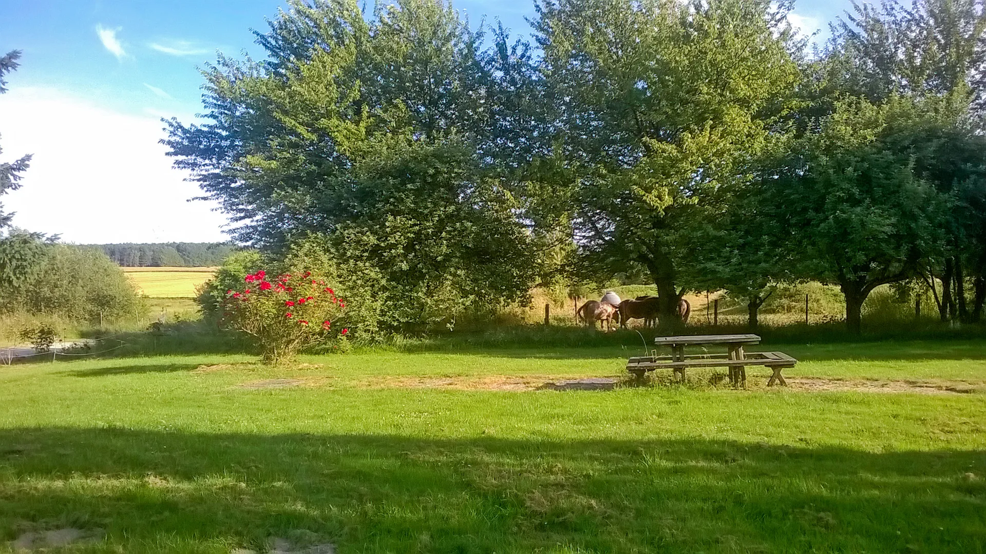 Cousinade Mumuche '26